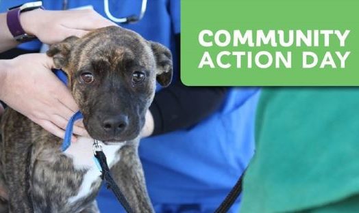 RSPCA Community Action Day
