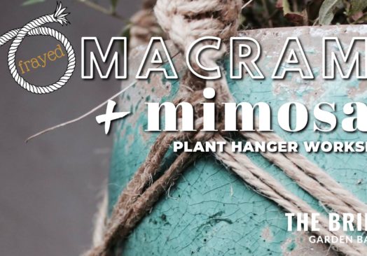 Frayed Macrame and Mimosas (Plant Hanger Workshop)