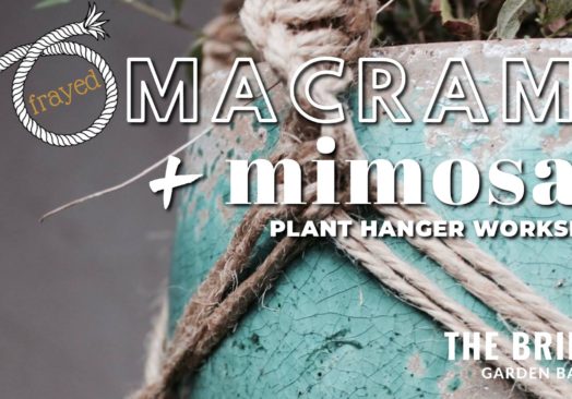 Frayed Macrame and Mimosas (Plant Hanger Workshop)