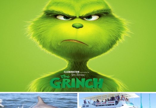 The Grinch – Movie and Cruise